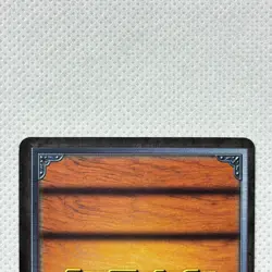 One Piece Cardgame Carddass Booster1 Holo LK-C05 Ace Bandai 2002 Japan - Image 5