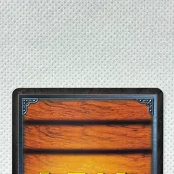 One Piece Cardgame Carddass Booster4 Holo RK-C02 Ace Bandai 2002 Japan - Image 5