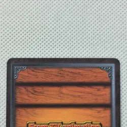 One Piece Cardgame Booster6 Holo ES-T02 Nami & Gan Fall Bandai 2004 Japan - Image 5