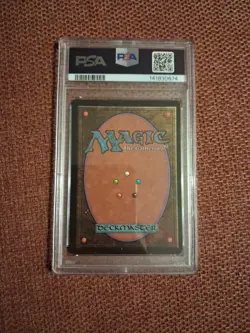 Bayou Revised Edition Regular - Image 2