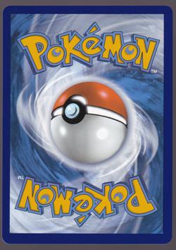Electivire ex 069/182 Destined Rivals Holo Pokemon Card 2025 NM - Image 2