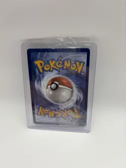 Pokemon Phantasmal Flames Mega Charizard x Ex and Oricorio Ex Promo SEALED - Image 2