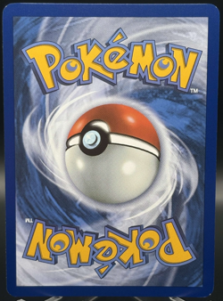 Ursaluna ex 177 Black Star Promo - Scarlet & Violet - NM✨- Pokemon TCG - Image 2