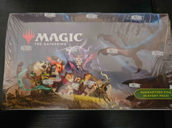 MTG: Bloomburrow Play Booster Box - x36 Packs Factory Sealed - Image 4
