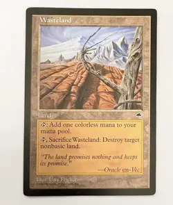 Magic The Gathering Wasteland Tempest Land Non basic LP/NM Vintage - Image 1