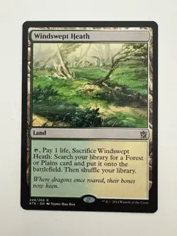 Windswept Heath MTG Magic the Gathering Card NM Near Mint KTK - Image 1