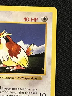 Pokemon Pidgey 57/102 1st Edition Base Set (Shadowless) Never Played *Near Mint* - Image 5