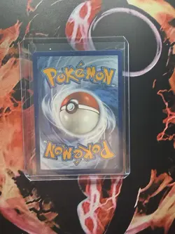 Pokemon Pikachu EX XY202 200 HP Thunderbolt 120 Lightning Basic Card English - Image 2