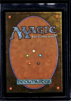 2020 MTG Magic The Gathering UND Unsanctioned Full Art #96 Forest - Image 2