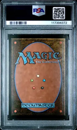 2025 Magic The Gathering Tarkir: Dragonstorm #0287 Plains Foil PSA 9 - Image 2