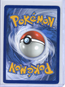 Pokemon TCG Black Bolt Illustration Rare Haxorus 147/086 - Image 2