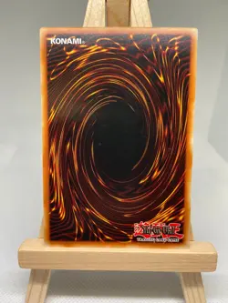 Amazoness Onslaught - Rare 1st Edition LEDU-EN011 - NM - YuGiOh - Image 2