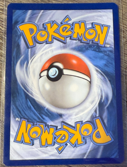 Pokemon Promo Lot - 3 cards lot / Charizard / Eevee / Misty's Seadra Collection - Image 5