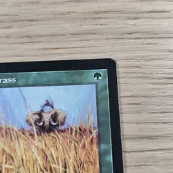 Elephant Grass MTG LP - Image 3