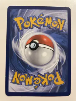 Pokemon TCG Poochyena GG33/GG70 Crown Zenith Galarian Gallery Holo Card - Image 2