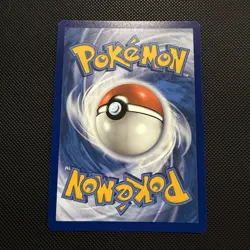 Bloodmoon Ursaluna ex 141/167 - Twilight Masquerade - Pokemon TCG - Double Rare - Image 4
