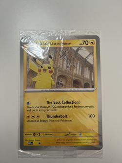 Pikachu At The Museum Jumbo Pokemon Card - Natural History Museum - Image 1
