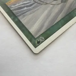 Hurricane Unlimited Edition (2ED) Magic the Gathering 1993 Uncommon MP - Image 5