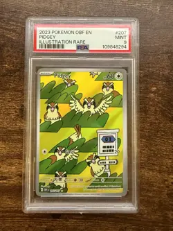 Pokemon Pidgey 207/197 SV03: Obsidian Flames Illustration Rare Holo PSA 9 - Image 1