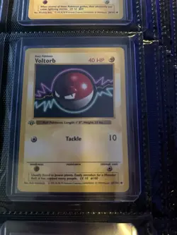 Pokemon Voltorb 1st Edition Base Set Shadowless 067/102 40 HP Common Regular - Image 1