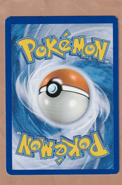 Pokemon Team Aqua's Spheal 3/34 Double Crisis Reverse Holo - Image 2