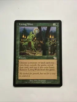 Living Wish Judgment Regular - Image 1