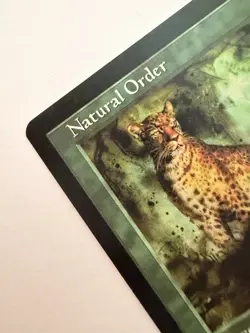 🌿 Natural Order – Near Mint (Never Played) | MTG Sorcery #2 - Image 4