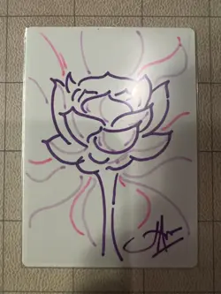 Foil Lotus Field Core Set 2020 Artist Proof Signed and Sketeched by John Avon - Image 1