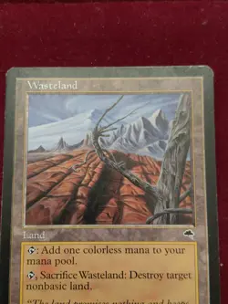 Wasteland Tempest 1997 MTG Land Card NM/EX Una Fricker - Image 3