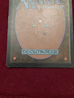 Wasteland Tempest 1997 MTG Land Card NM/EX Una Fricker - Image 5