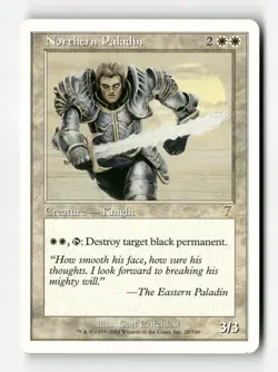 Northern Paladin - Seventh Edition - #28 - Non-Foil - NM - MTG - Image 1