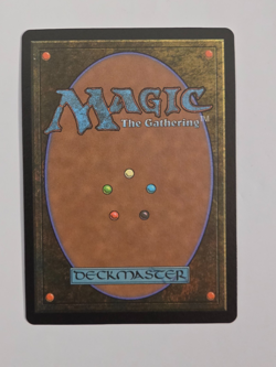 Paradise Chocobo - Birds of Paradise P0483 Foil (Borderless) Final Fantasy MTG - Image 2