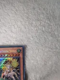 BPRO-EN027 Shiina, Twin Tempests of Celestial Thunder Secret Rare YuGiOh NEW! - Image 3