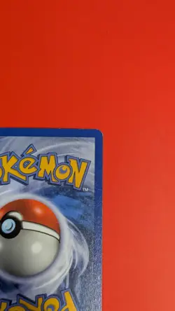 Mudkip 59/109 2003 EX Ruby & Sapphire Pokemon Card Reverse Holo Common - Image 4