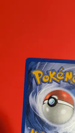 Mudkip 59/109 2003 EX Ruby & Sapphire Pokemon Card Reverse Holo Common - Image 5