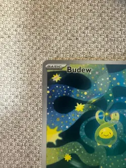 Pokemon TCG Budew Full Art Asc/Mega Dream Duo English And Japanese - Image 3