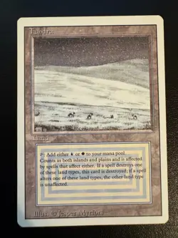 🌊❄ MTG Tundra (Revised) Dual Land LP ✅ Authentic Vintage 💎 - Image 1