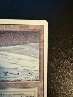 🌊❄ MTG Tundra (Revised) Dual Land LP ✅ Authentic Vintage 💎 - Image 3