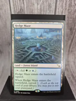 Magic The Gathering Hedge Maze MKM 0262 R Regular - Image 1