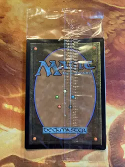 MTG Sealed Foil Swamp (558) Secret Lair Drop: Promo Near-Mint Basic Land!! - Image 2