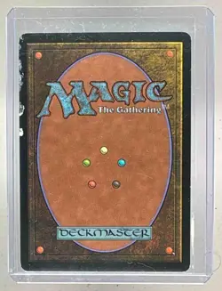 Flooded Strand 2002 Magic: The Gathering Onslaught #316 (B) - Image 2