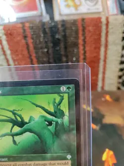 Magic The Gathering Tangle #213 Invasion Regular - Image 3