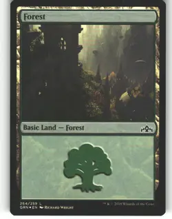 Forest - Guilds of Ravnica - MTG - Land - #264 - NM - Image 1