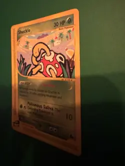 Shuckle 96/144 Skyridge Regular Pokemon Card LP - Image 3