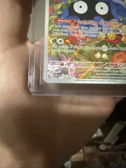 Erika's Tangela 218/217 Ascended Heroes Illustration Rare Pokemon TCG NM - Image 2