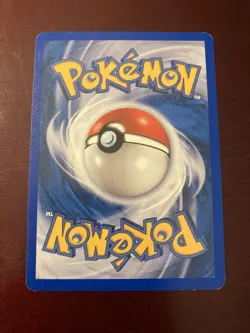 Team Magma's Camerupt 19/95 Team Magma vs Team Aqua Rare Pokemon TCG Card - Image 2