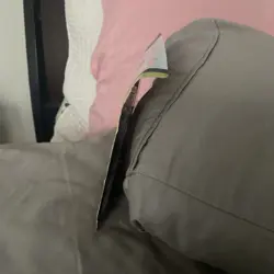 Pokemon Back to School Eraser Pack Pikachu Eevee Evolving Skies Astral Radiance - Image 4