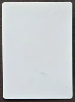 SIGNED MtG Magic Kaja Foglio Artist Proof _ Legends _ SILHOUETTE _ VHTF 1/150! - Image 2