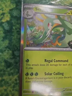 Sealed Pokemon TCG Mega Evolution Perfect Order STAFF Promo 4 Card Pack - Image 3