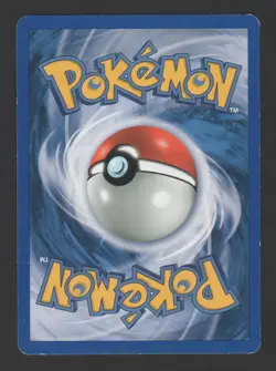 Squirtle Expedition 131/165 ITA – Carta Pokemon - Image 2